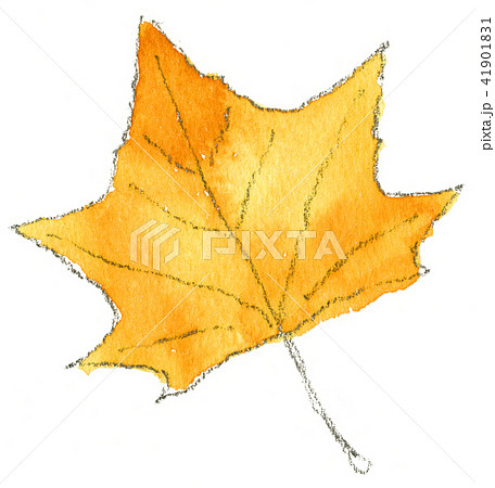 秋の落ち葉イラスト プラタナスのイラスト素材