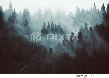 Misty mountain landscape Misty mountain landscape 41903689