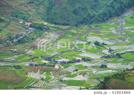 Terraced fields in water season Terraced fields in water season 41903866