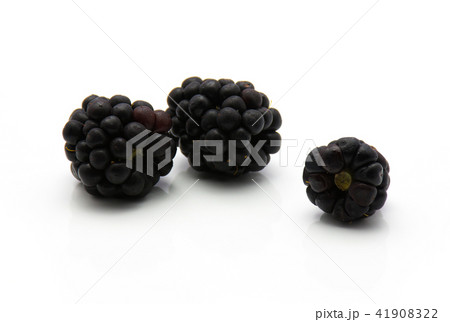 Blackberry isolated on white 41908322