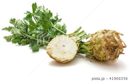 Fresh celery isolated on white Fresh celery isolated on white 41908356