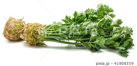 Fresh celery isolated on white Fresh celery isolated on white 41908359