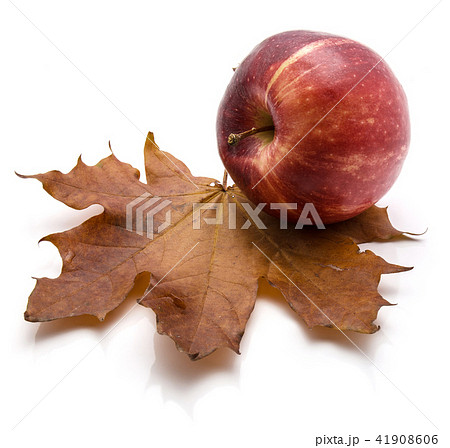 Apple gala variety isolated on white Apple gala variety isolated on white 41908606