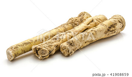 Fresh horseradish isolated on white Fresh horseradish isolated on white 41908659