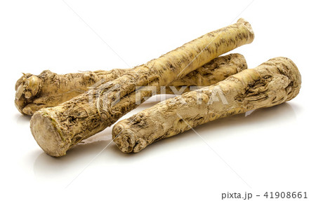 Fresh horseradish isolated on white Fresh horseradish isolated on white 41908661
