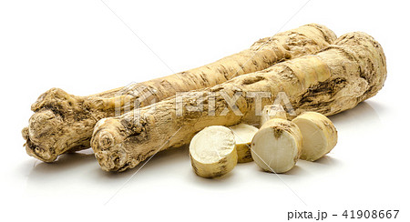 Fresh horseradish isolated on white Fresh horseradish isolated on white 41908667