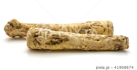Fresh horseradish isolated on white 41908674