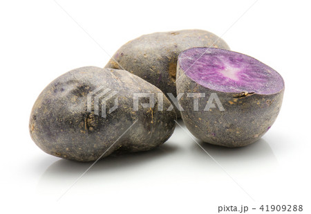 Fresh vitelotte potato isolated on white 41909288