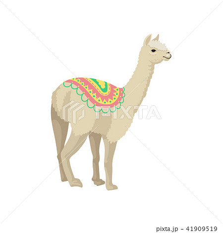 White llama alpaca animal wearing ornamented poncho vector Illustration on a white background 41909519