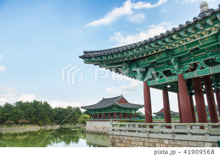 雁鴨池 池 風景 41909568