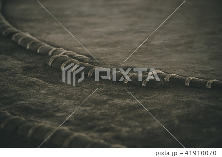 Sumo wrestling Sumo wrestling 41910070