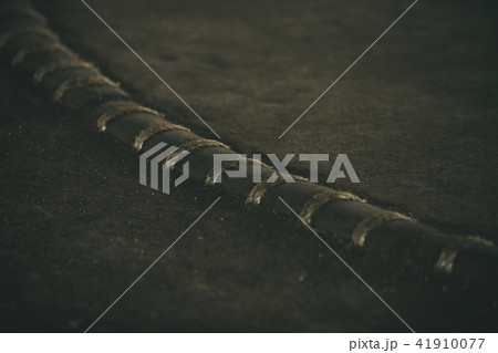 Sumo wrestling 41910077