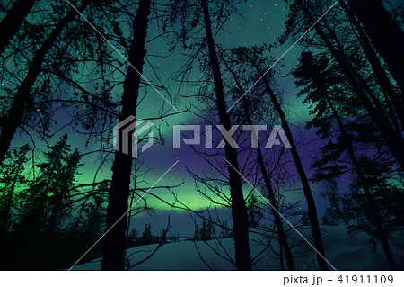 オーロラ 41911109