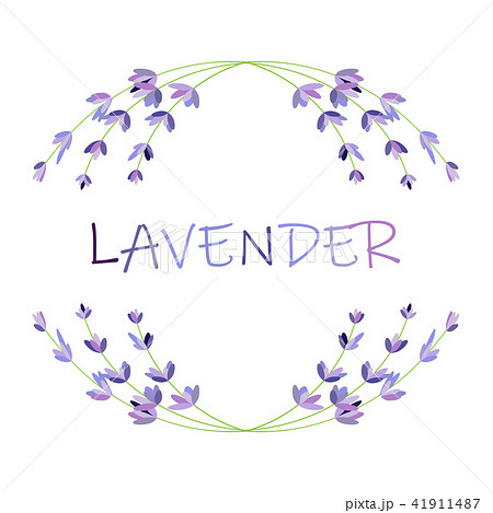 Lavender flower round frame on white. Vector packaging design template and emblem - beauty and 41911487