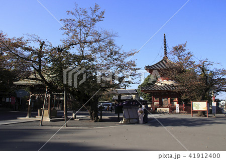 川越大師 喜多院にて 川越大師 喜多院にて 41912400