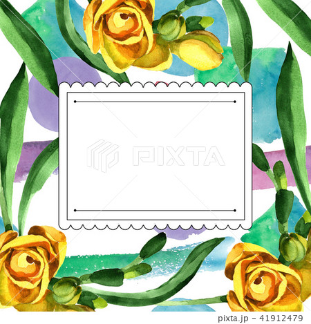 Colorful freesia. Floral botanical flower. Frame border ornament square. Colorful freesia. Floral botanical flower. Frame border ornament square. 41912479
