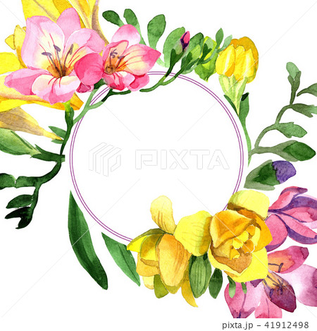 Colorful freesia. Floral botanical flower. Frame border ornament square. 41912498