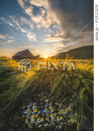 Old Shack in the Field 41912926
