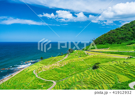 白米千枚田 41912932