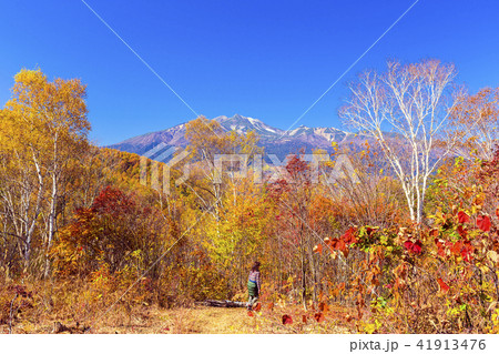 紅葉の乗鞍高原 紅葉の乗鞍高原 41913476