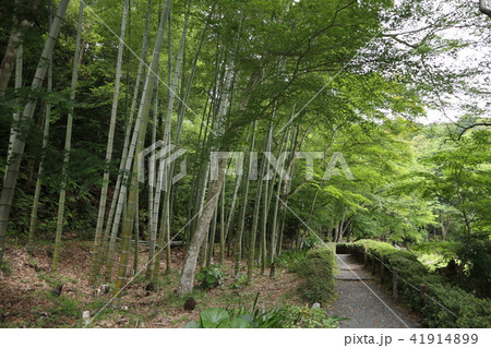 山口市　常栄寺雪舟庭 41914899