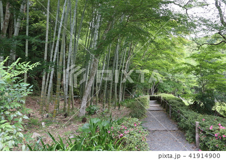 山口市　常栄寺雪舟庭 41914900