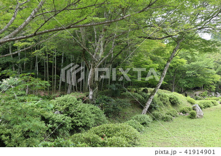 山口市　常栄寺雪舟庭 41914901