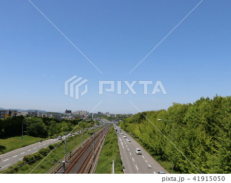 堺市 泉北ニュータウン 泉ヶ丘 堺市 泉北ニュータウン 泉ヶ丘 41915050