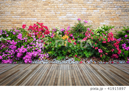 Woodecking or flooring and plant in garden decorative 41915897