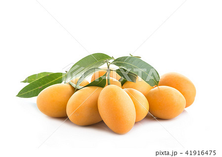 Fresh yellow marian plum fruit (Mayongchid in THai name) isolated on white background 41916475