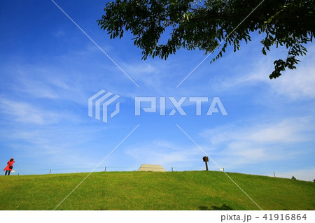 雲 韓国 順天湾庭園 41916864