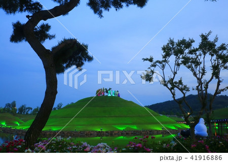 順天湾庭園 ガーデン 庭園 41916886