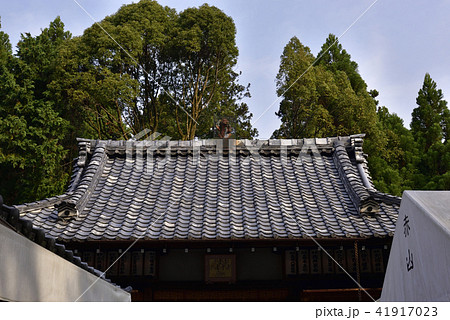 赤山禅院 鬼門除けの猿(拝殿) 赤山禅院 鬼門除けの猿(拝殿) 41917023