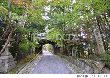 赤山禅院 41917041