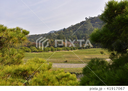 修学院離宮 田園風景 修学院離宮 田園風景 41917067