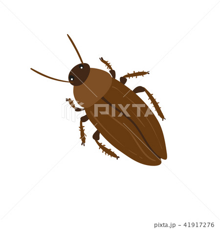 cockroach character vector design 41917276