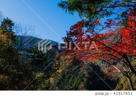 秋深く、街道をゆく 41917651