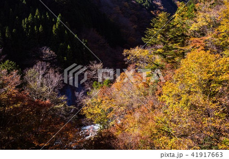 秋深く、街道をゆく 41917663