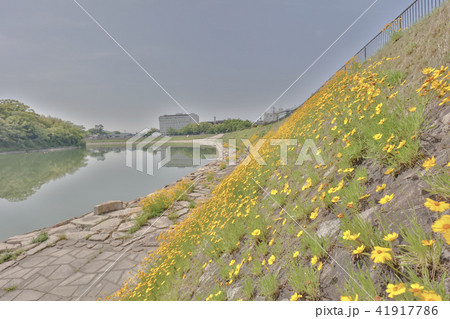 an area of asahi river at Okayama downtown 41917786
