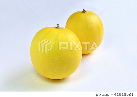 キンショーメロン 41918031