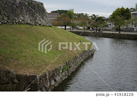 彦根城　内堀 41918226