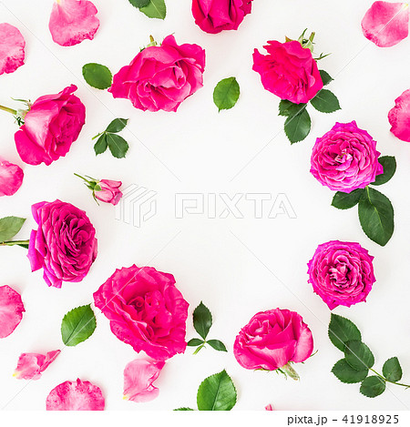 Pink roses flowers on white background. Flat lay Pink roses flowers on white background. Flat lay 41918925