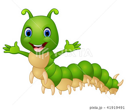 Cute caterpillar cartoon Cute caterpillar cartoon 41919491