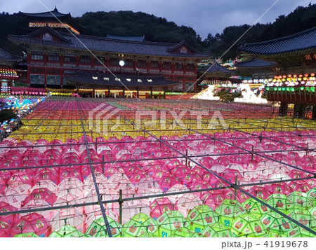 釜山 サムグァンサ 釈迦誕生日 41919678