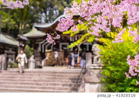 岡崎神社（京都府京都市左京区岡崎東天王町）※作品コメント欄に撮影位置あり 41920516