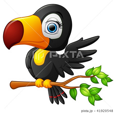 Cute toucan bird cartoonのイラスト素材 [41920548] - PIXTA
