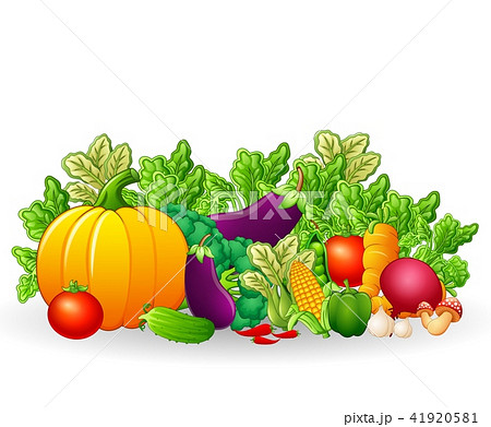 Fresh Organic Collard Greens Vegetable Cartoon - Stock Illustration  [104849295] - PIXTA