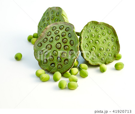 lotus seed close up 41920713