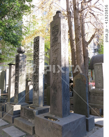 墨田区両国の回向院にある安政大地震横死者の供養塔 41920856