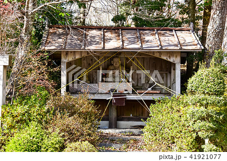 五家荘・梅の木轟公園　九州中央山地(秋の紅葉)(Autumn leaves)撮影日；2017年11月 41921077